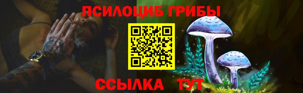 Борзя  Галлюциногенные грибы мицелий  Вход с VPN 